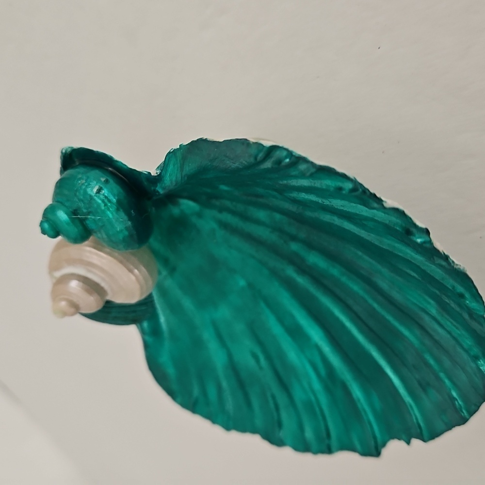 Shell Handcrafted for your Trinkets - Picture 4 of 5